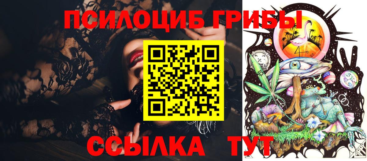 Псилоцибиновые грибы Psilocybine cubensis Уссурийск