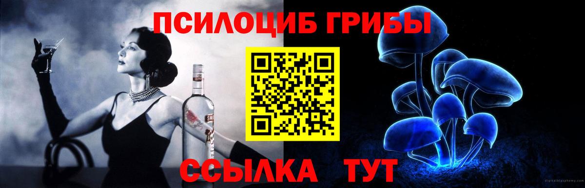 Галлюциногенные грибы Psilocybine cubensis  Вход с VPN  купить наркотики цена  Уссурийск 